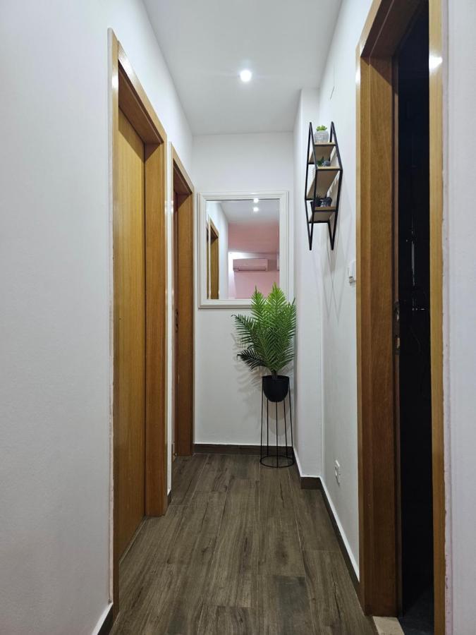 Appartement Nona à Zadar Extérieur photo